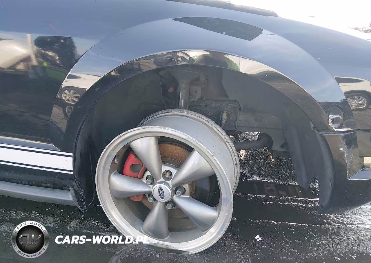 2009 Ford Mustang V6-V6 Premium VIN:1ZVHT80N295121825 - 6