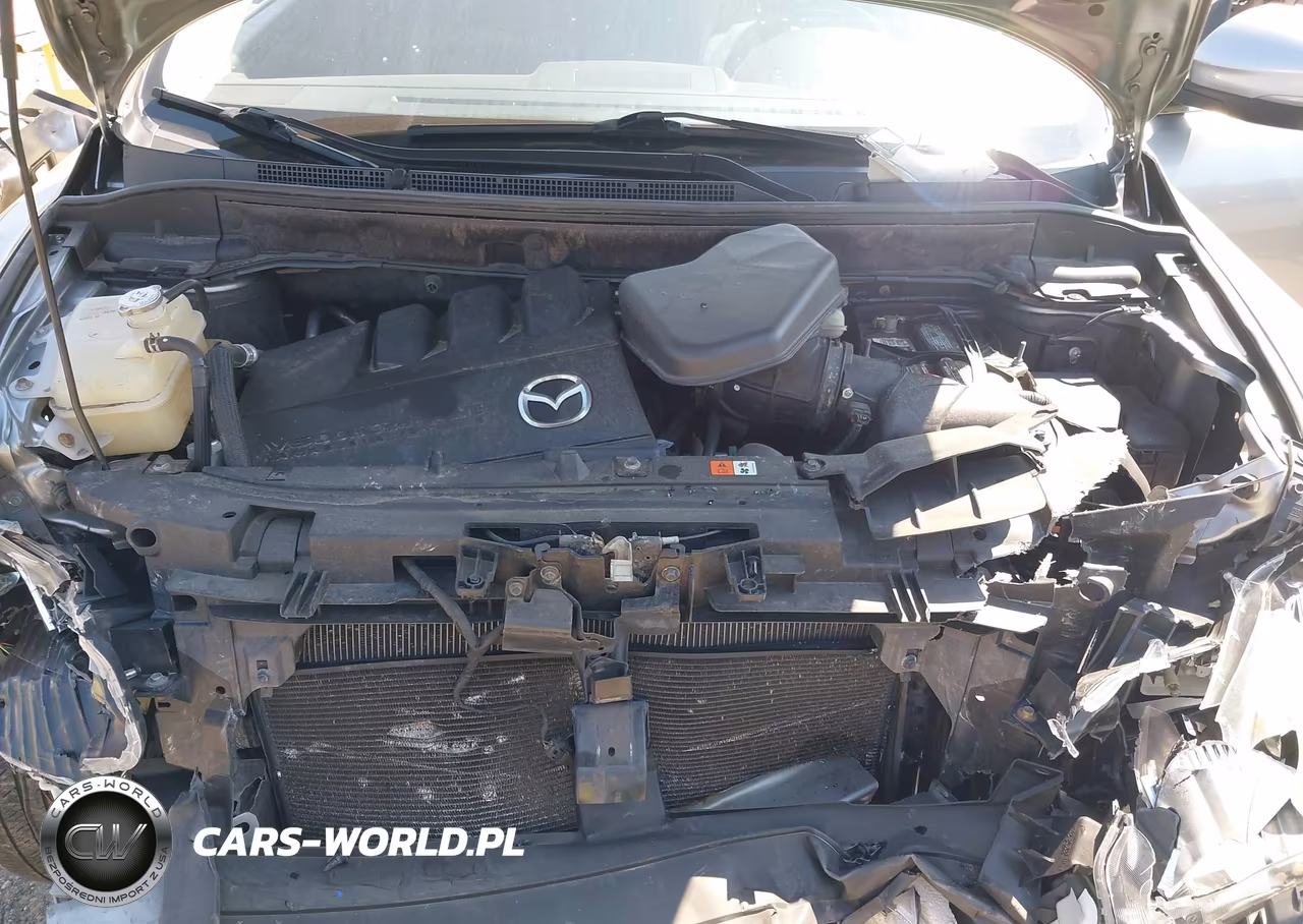 2011 Mazda Cx-9 Grand Touring VIN:JM3TB3DV4B0327798 - 10