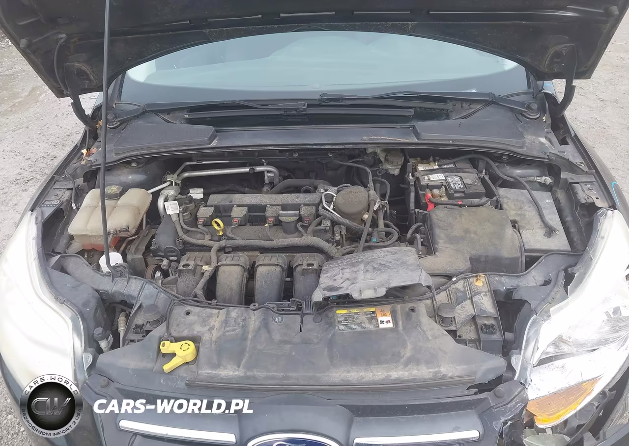 2014 Ford Focus Se VIN:1FADP3F28EL160677 - 10