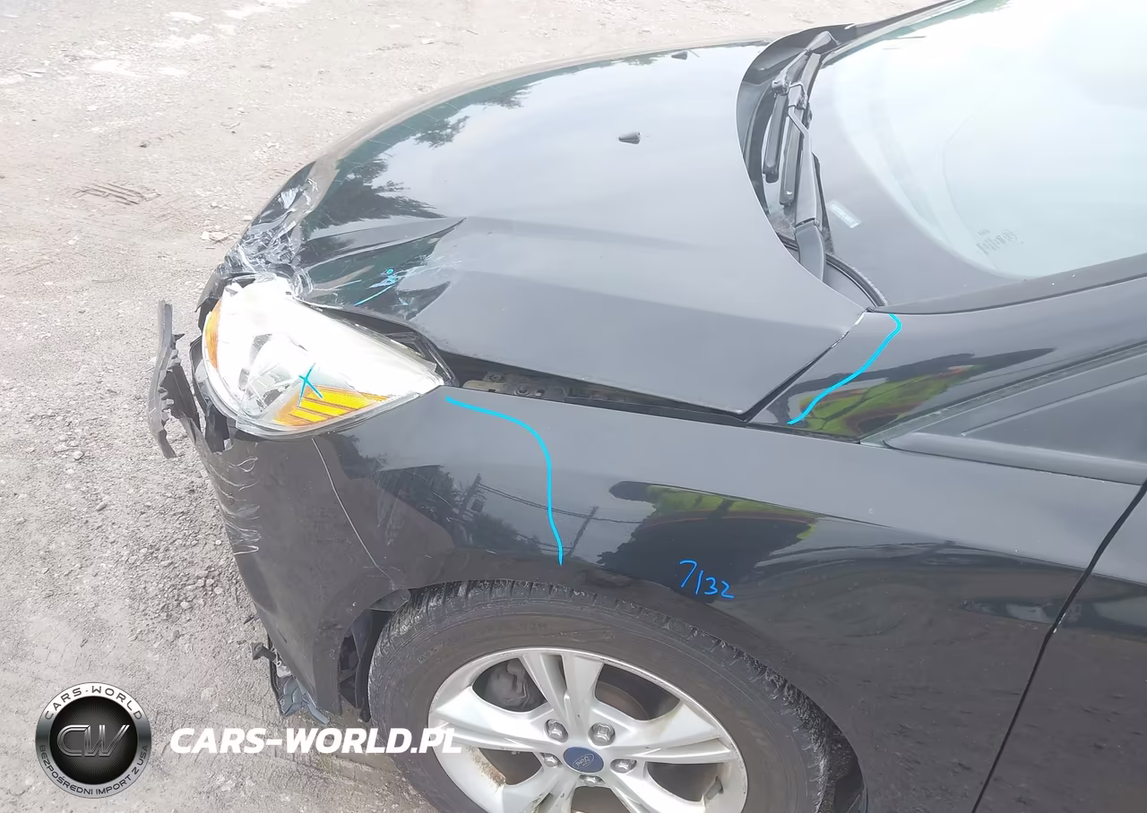 2014 Ford Focus Se VIN:1FADP3F28EL160677 - 14
