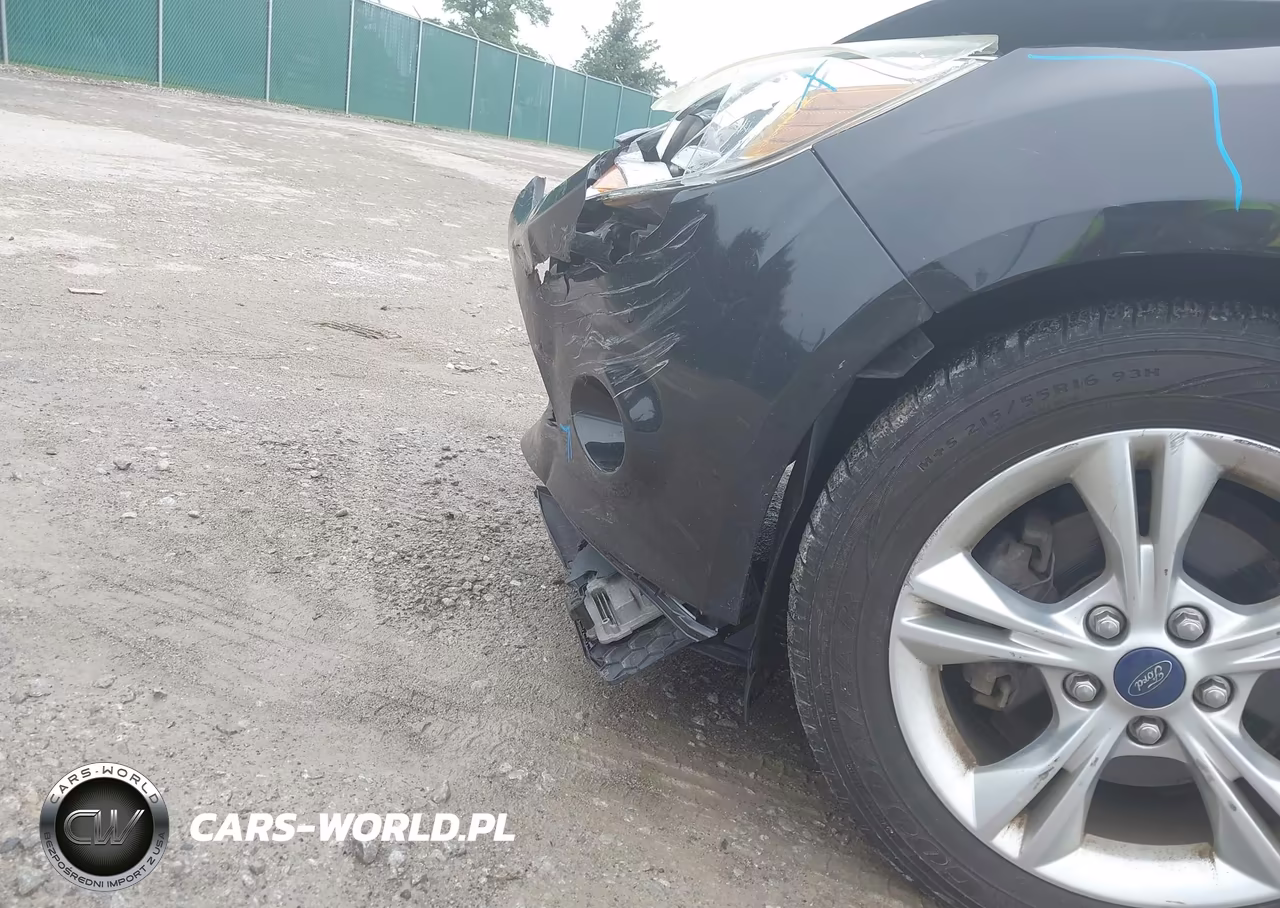 2014 Ford Focus Se VIN:1FADP3F28EL160677 - 15