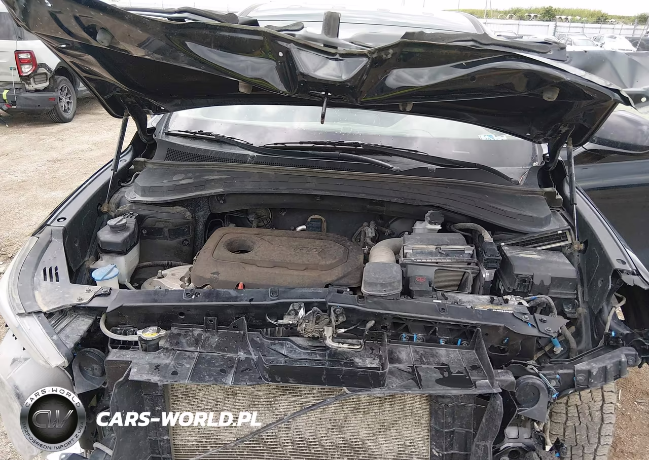 2019 Hyundai Santa Fe Sel VIN:5NMS3CAD7KH015519 - 10