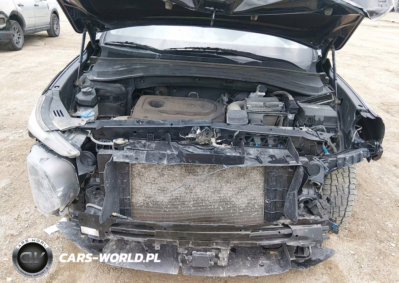 2019 Hyundai Santa Fe Sel VIN:5NMS3CAD7KH015519 - 6