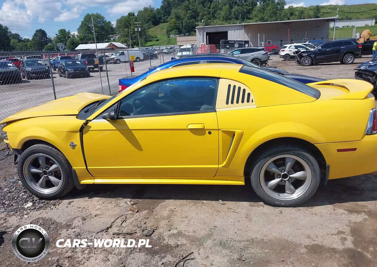 1999 Ford Mustang VIN:1FAFP4041XF221314 - 14