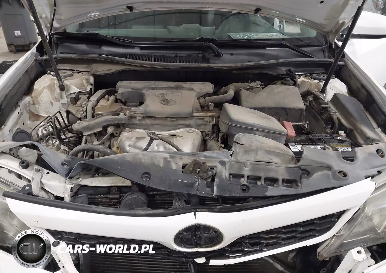 2013 Toyota Camry Se VIN:4T1BF1FK6DU711704 - 10