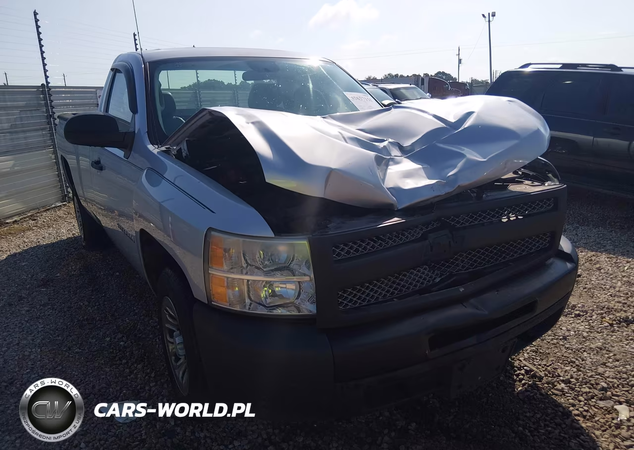 2013 Chevrolet Silverado 1500 Work Truck VIN:1GCNCPEX9DZ402709 - 12