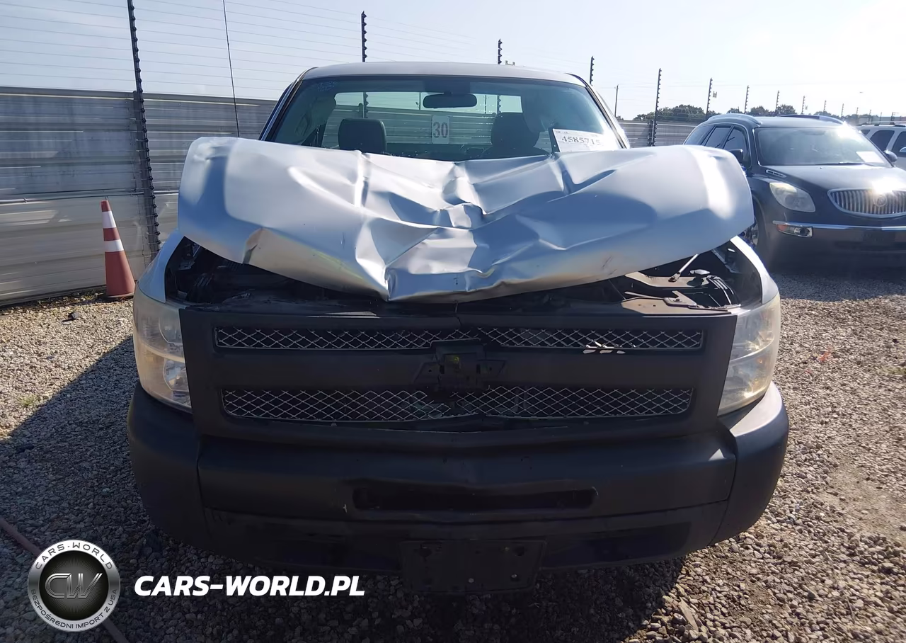 2013 Chevrolet Silverado 1500 Work Truck VIN:1GCNCPEX9DZ402709 - 6