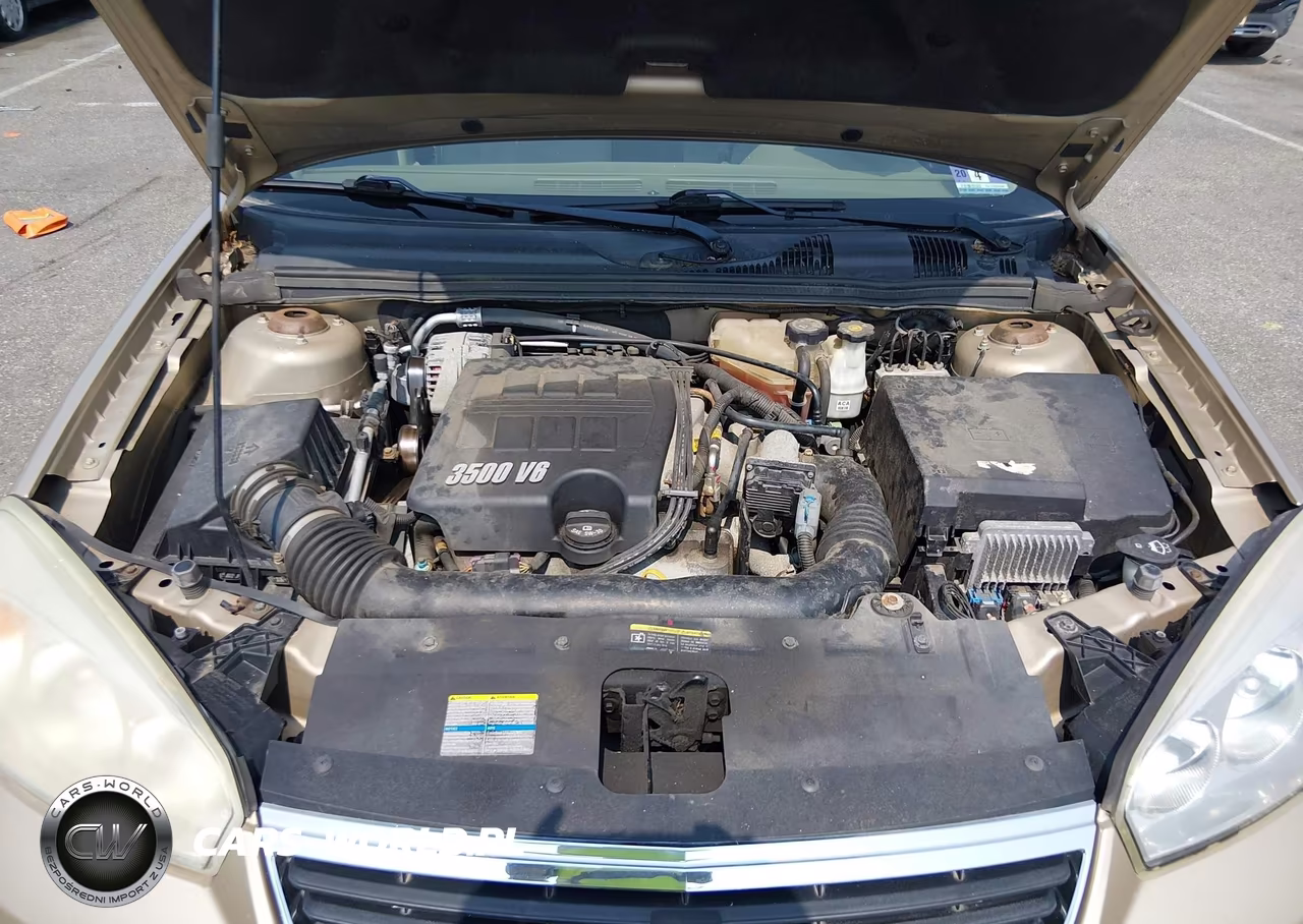 2006 Chevrolet Malibu Lt VIN:1G1ZT51806F255875 - 10