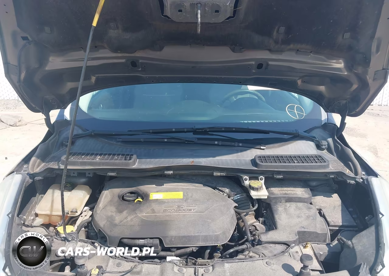 2015 Ford Escape Se VIN:1FMCU0GX5FUB29983 - 10