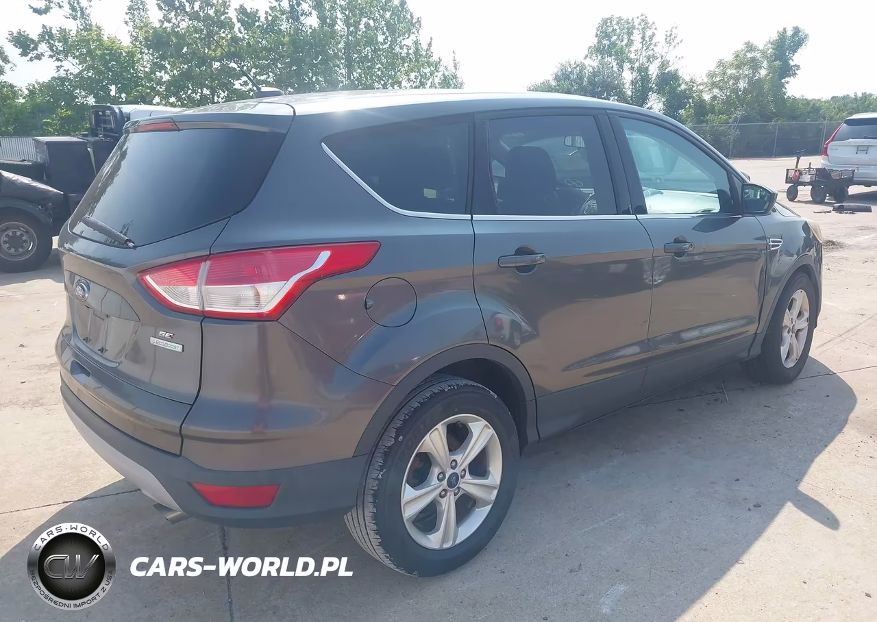 2015 Ford Escape Se VIN:1FMCU0GX5FUB29983 - 4