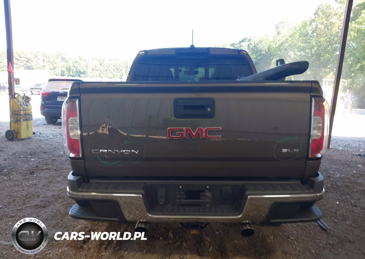 2016 GMC Canyon 2Wd Sle VIN:1GTG5CE38G1356978 - 16