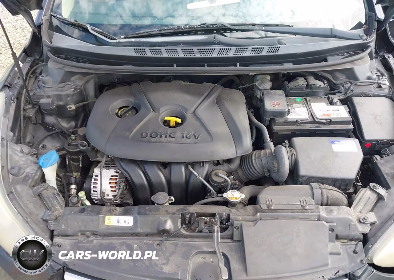 2014 Hyundai Elantra Limited VIN:KMHDH4AE6EU201960 - 10