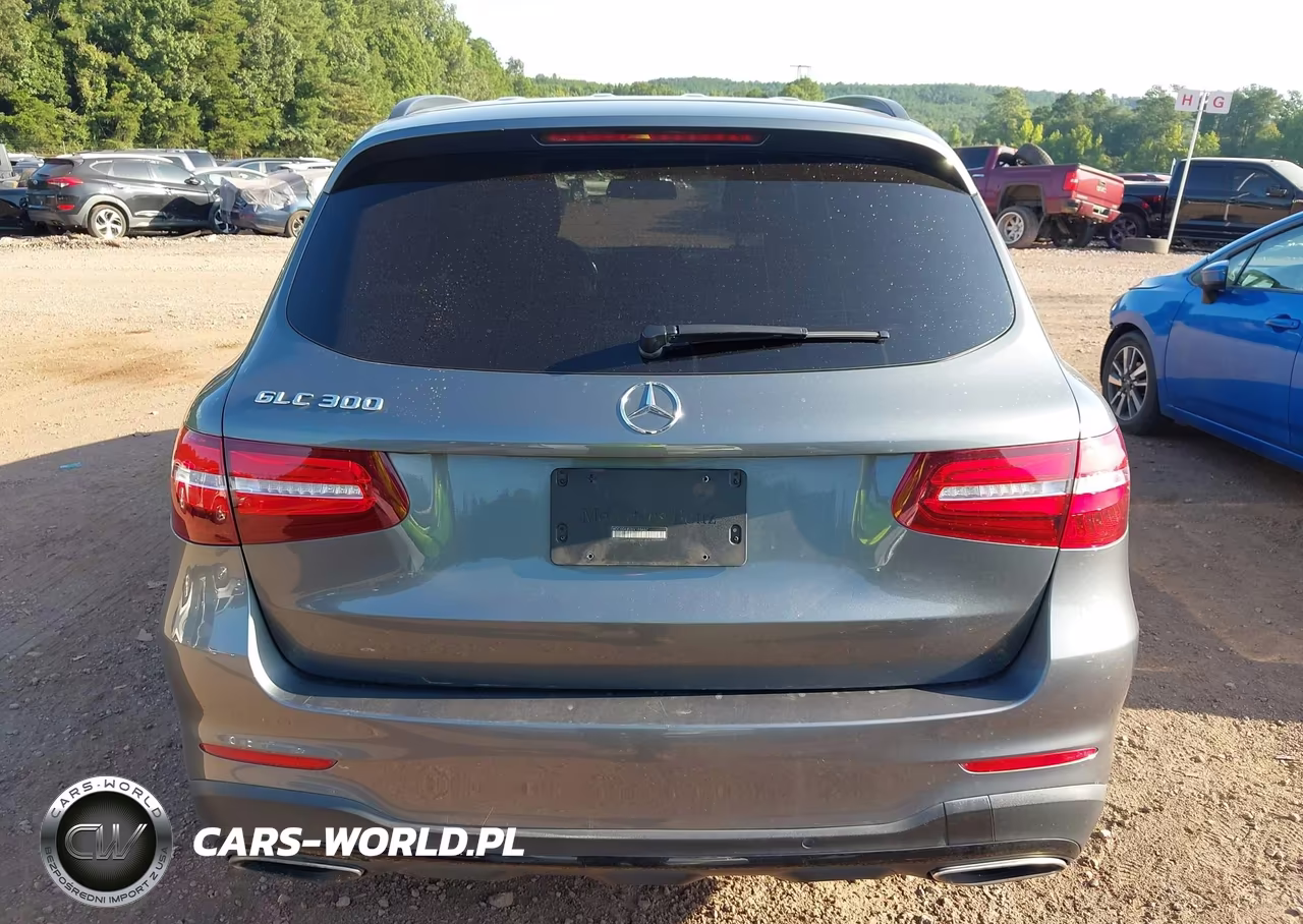 2019 Mercedes-Benz Glc 300 VIN:WDC0G4JB2KV188667 - 16