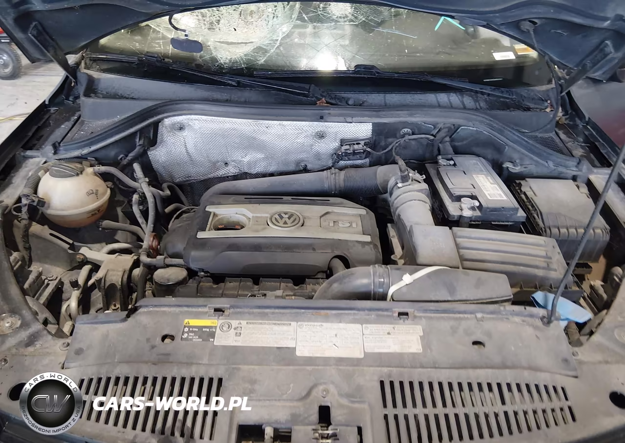 2013 Volkswagen Tiguan S VIN:WVGBV3AXXDW593601 - 10