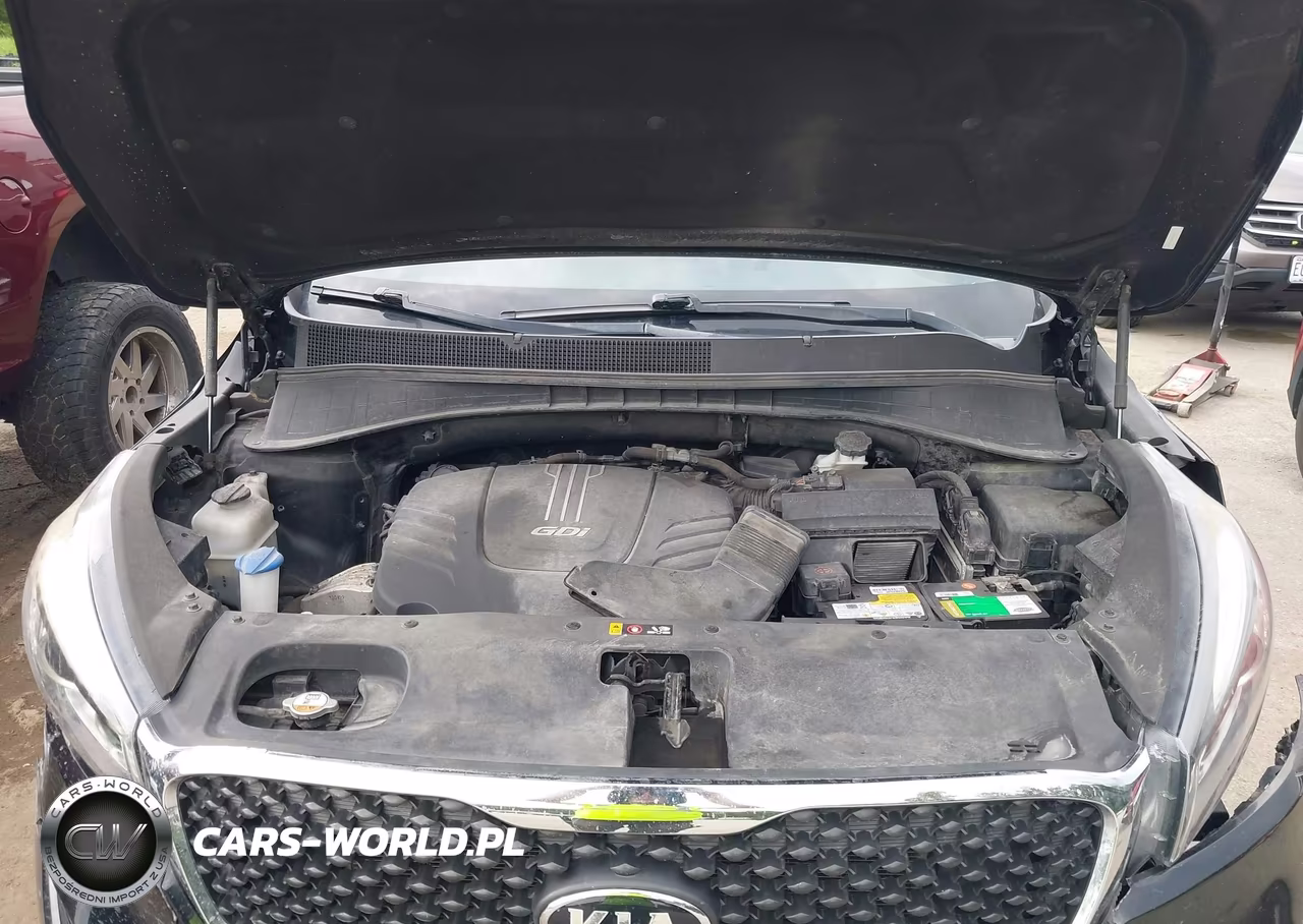 2016 Kia Sorento 3.3L Lx VIN:5XYPGDA58GG110584 - 10