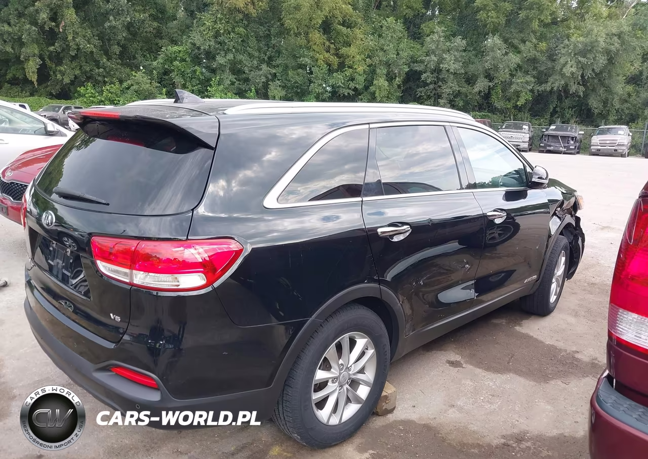 2016 Kia Sorento 3.3L Lx VIN:5XYPGDA58GG110584 - 13