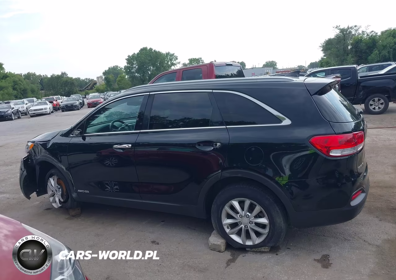 2016 Kia Sorento 3.3L Lx VIN:5XYPGDA58GG110584 - 14