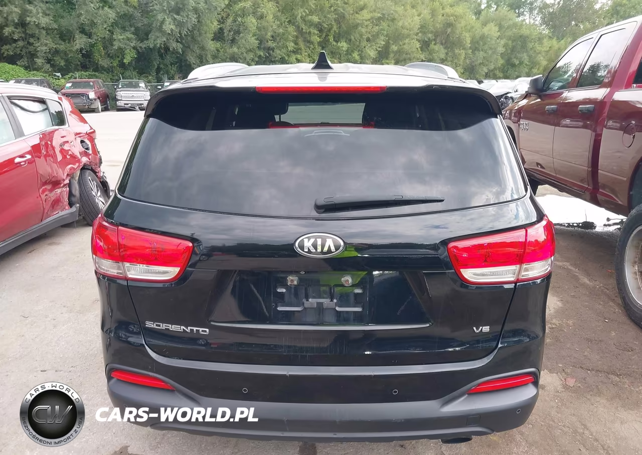 2016 Kia Sorento 3.3L Lx VIN:5XYPGDA58GG110584 - 16