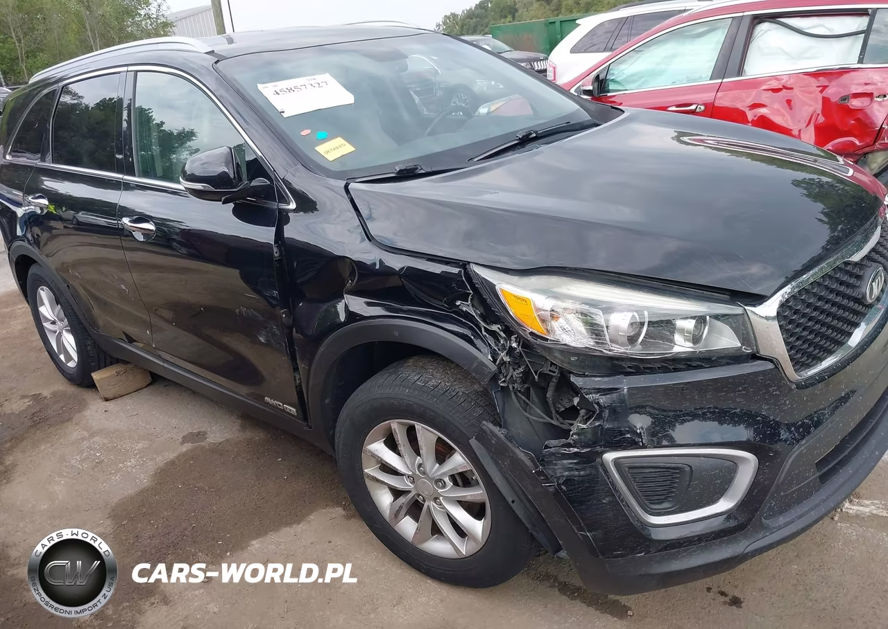 2016 Kia Sorento 3.3L Lx VIN:5XYPGDA58GG110584 - 18