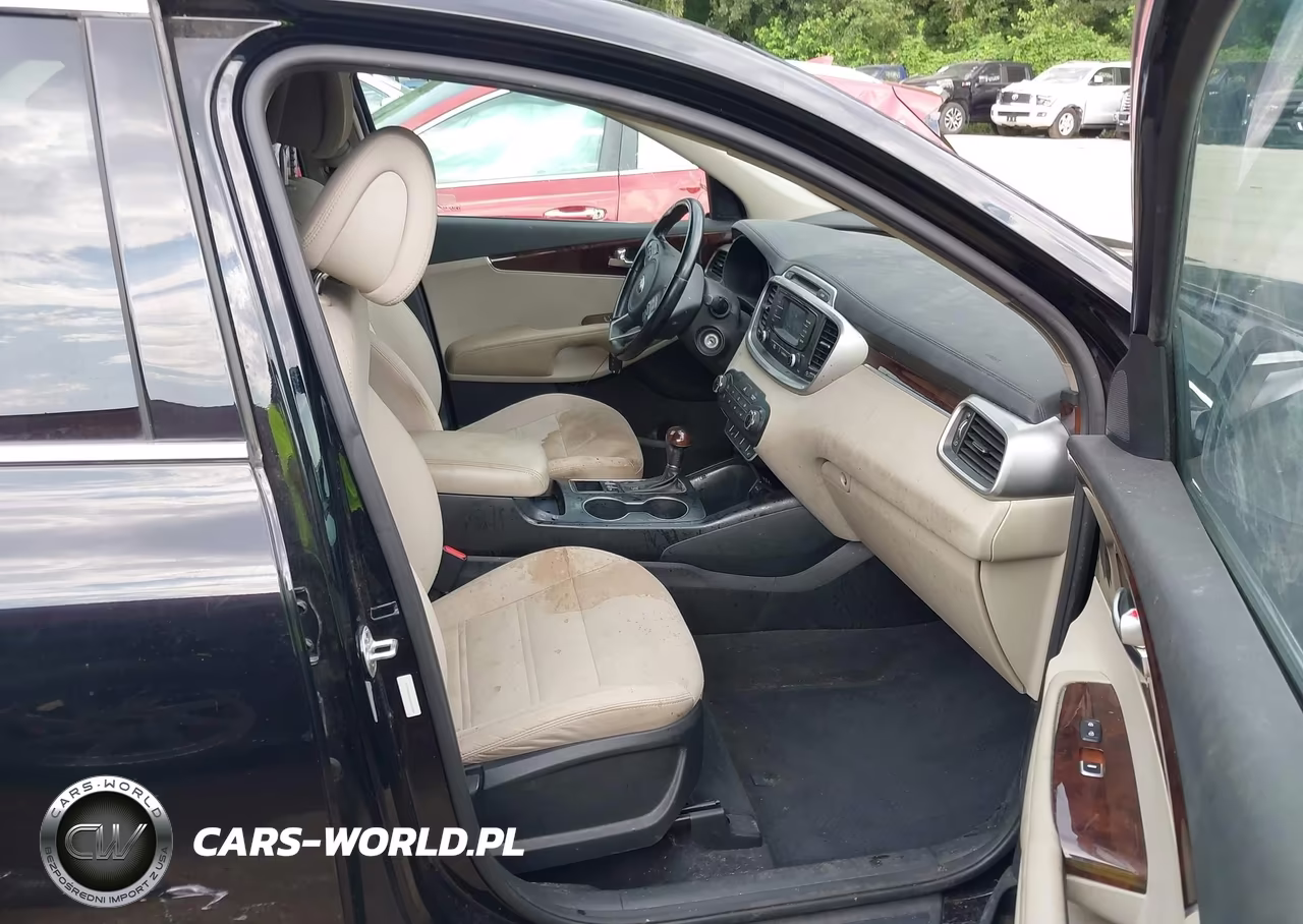 2016 Kia Sorento 3.3L Lx VIN:5XYPGDA58GG110584 - 5