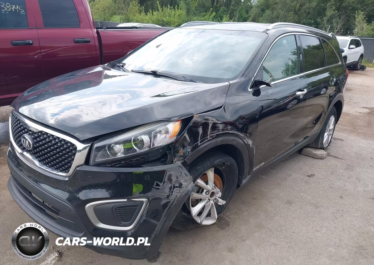 2016 Kia Sorento 3.3L Lx VIN:5XYPGDA58GG110584 - 6