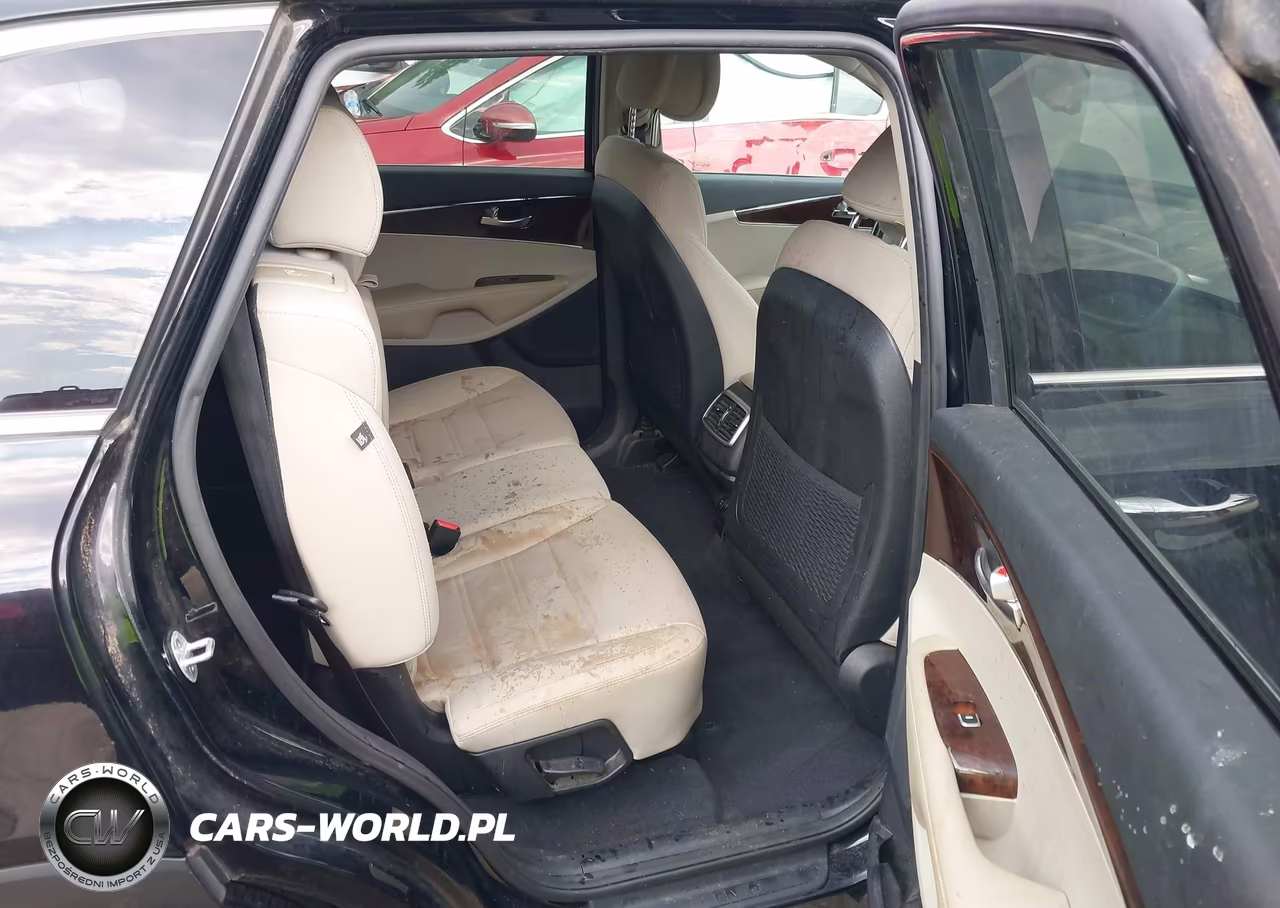 2016 Kia Sorento 3.3L Lx VIN:5XYPGDA58GG110584 - 8