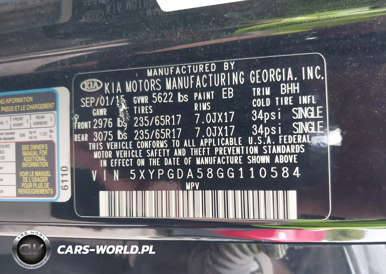 2016 Kia Sorento 3.3L Lx VIN:5XYPGDA58GG110584 - 9
