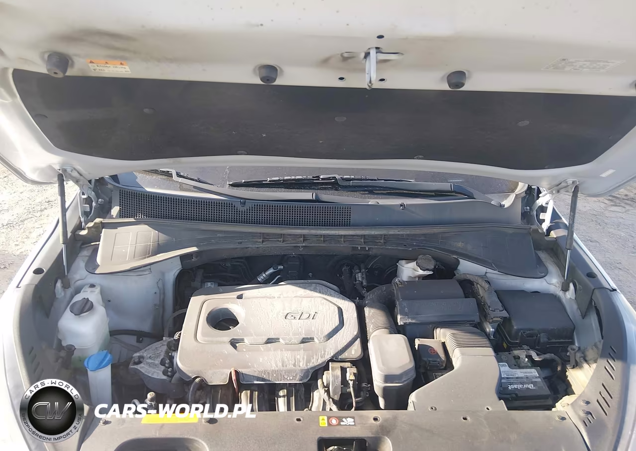 2019 Kia Sorento 2.4L L VIN:5XYPG4A30KG565341 - 10