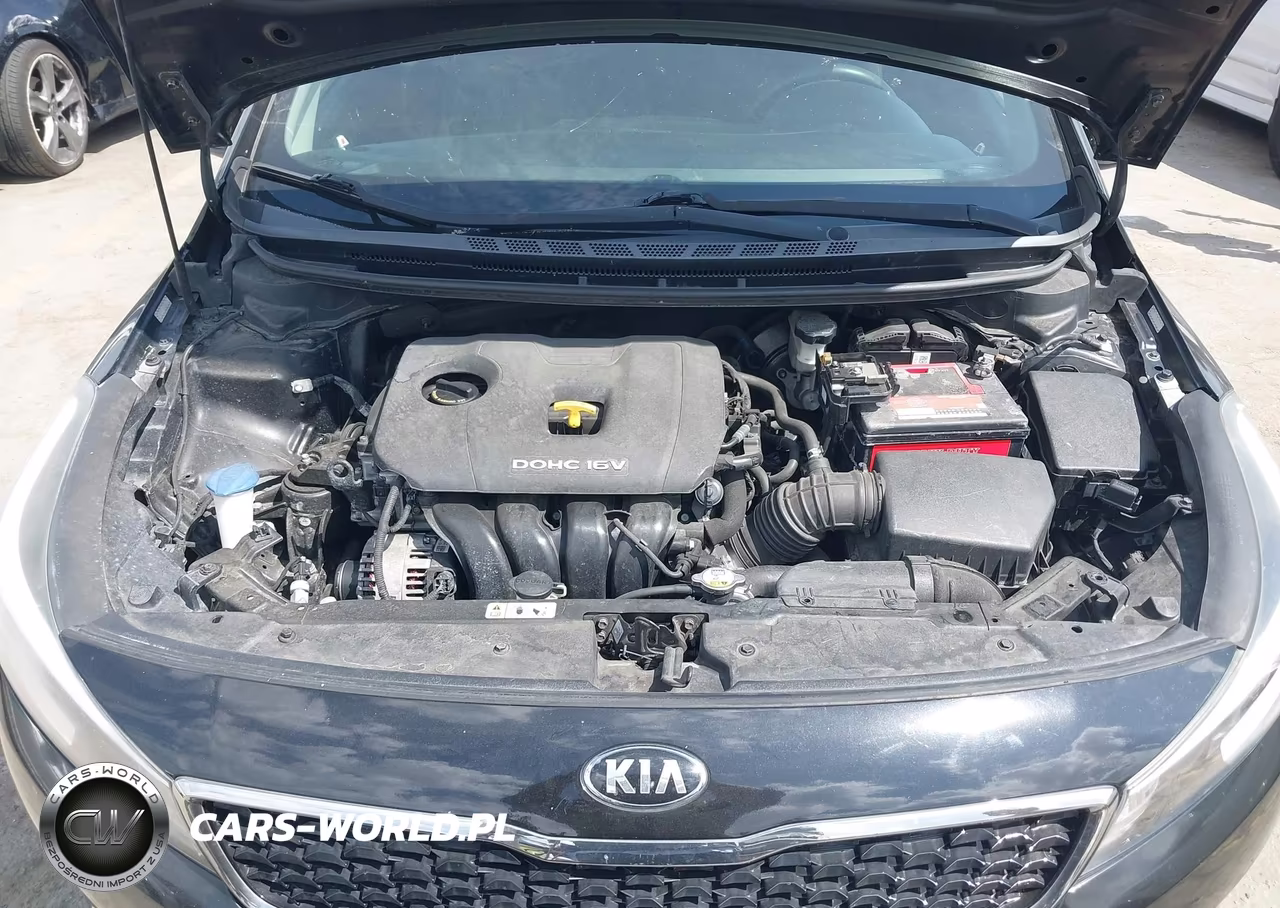 2017 Kia Forte Lx VIN:3KPFK4A74HE024375 - 10