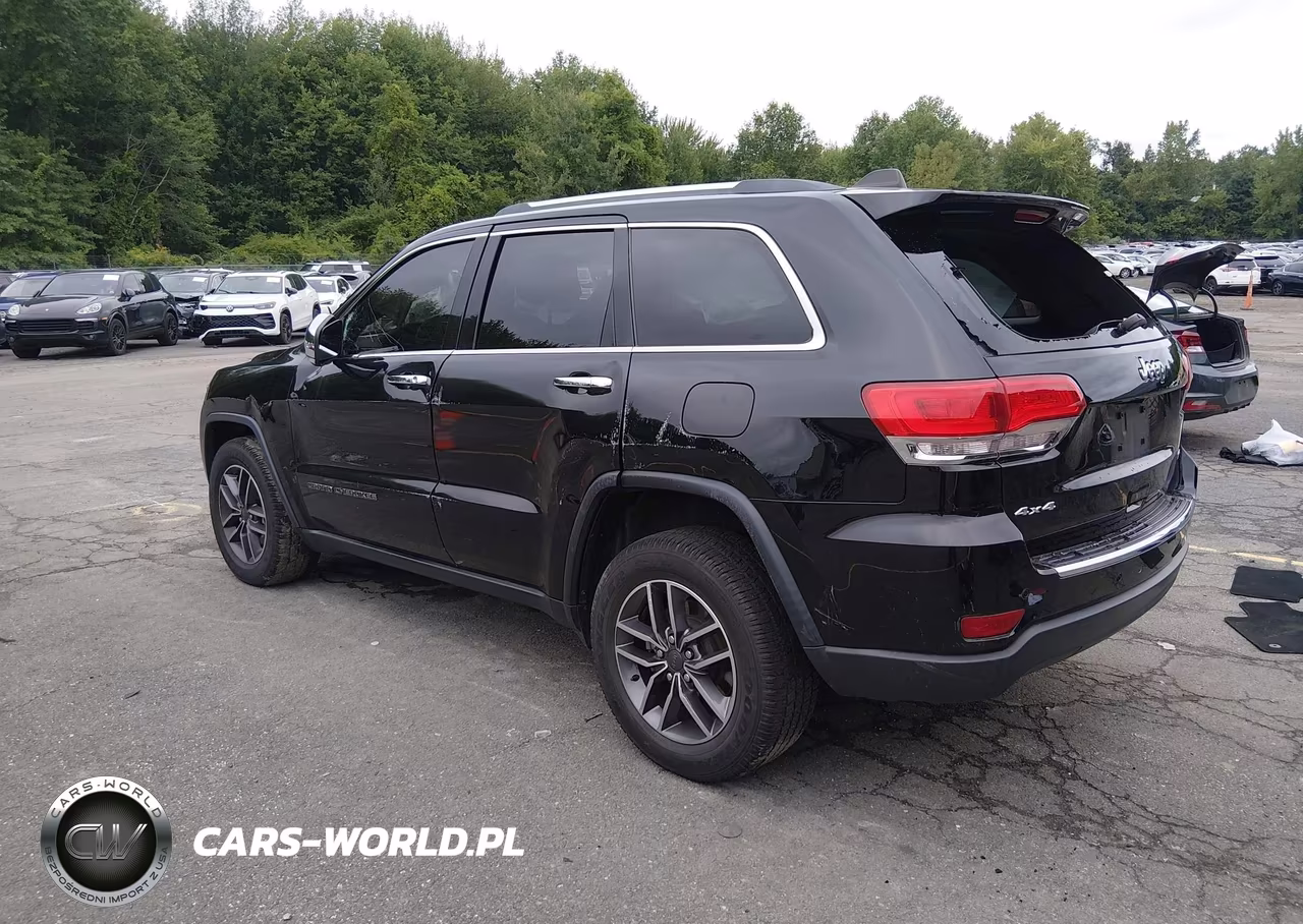 2019 Jeep Grand Cherokee Limited 4X4 VIN:1C4RJFBG6KC829299 - 3
