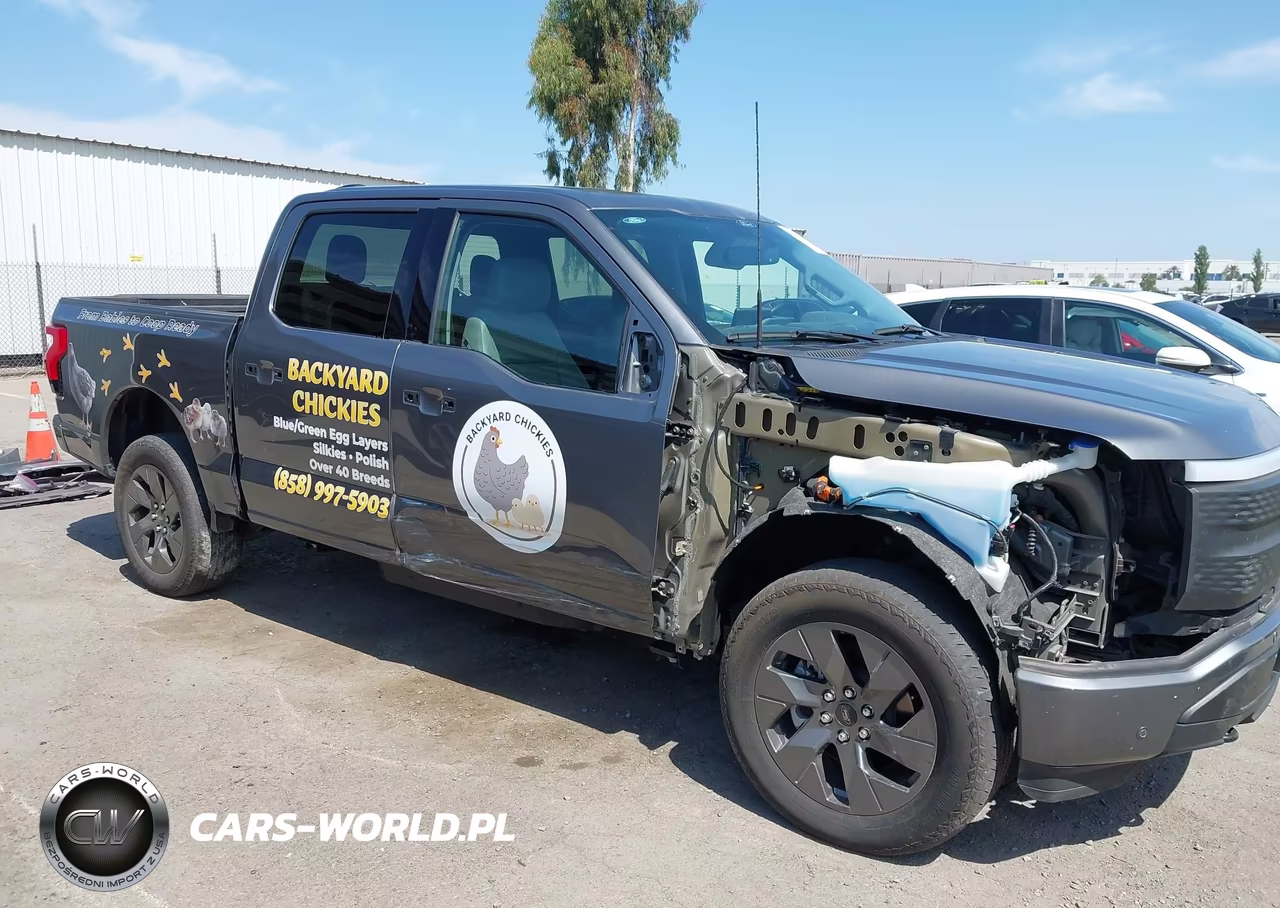 2025 Ford F-150 Lightning Flash