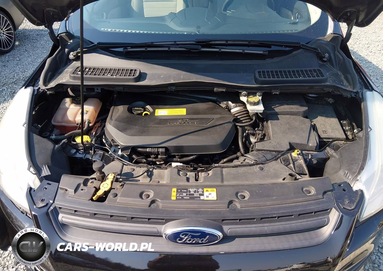 2013 Ford Escape Se VIN:1FMCU0GX1DUB61309 - 10