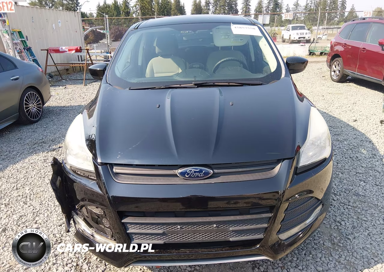 2013 Ford Escape Se VIN:1FMCU0GX1DUB61309 - 13