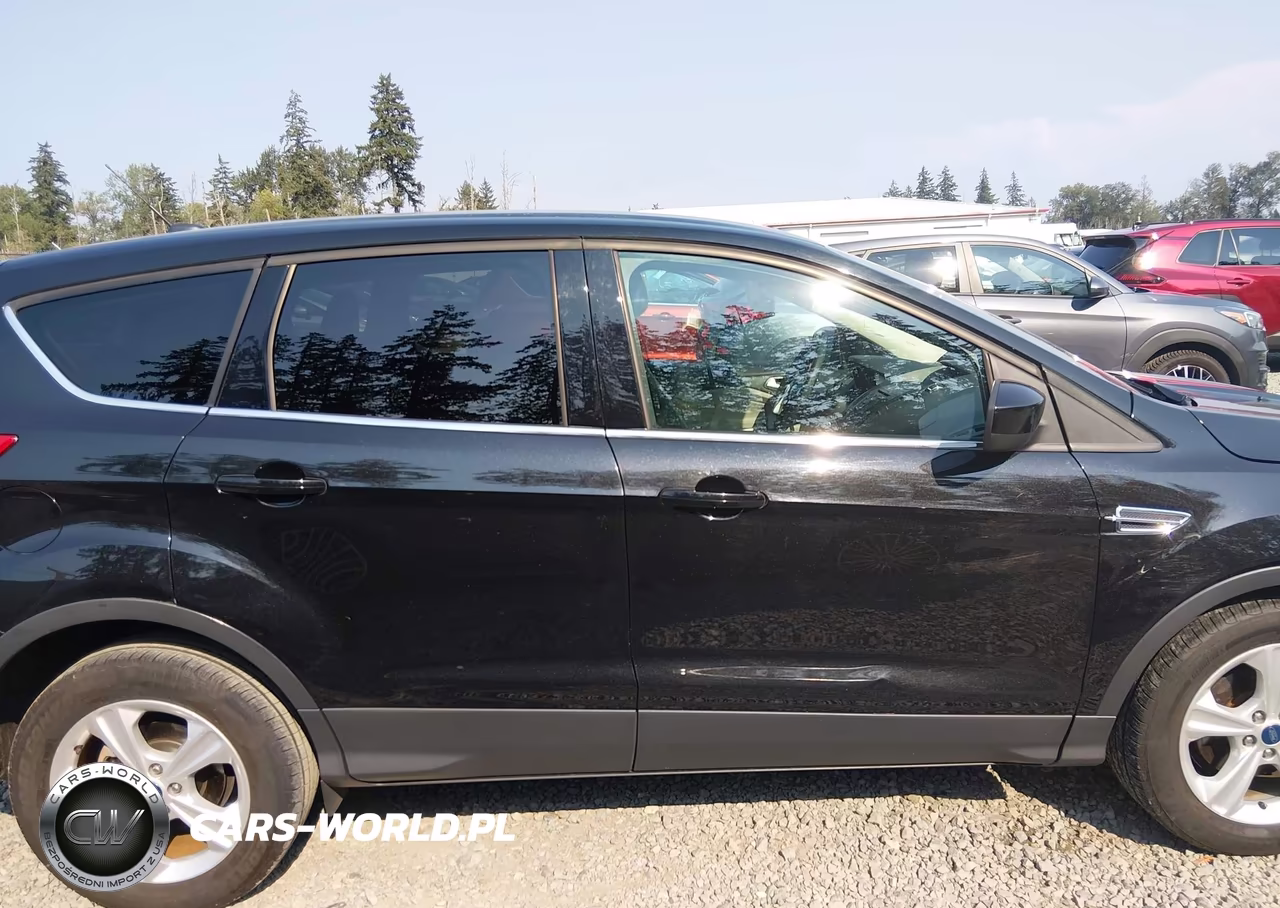 2013 Ford Escape Se VIN:1FMCU0GX1DUB61309 - 14