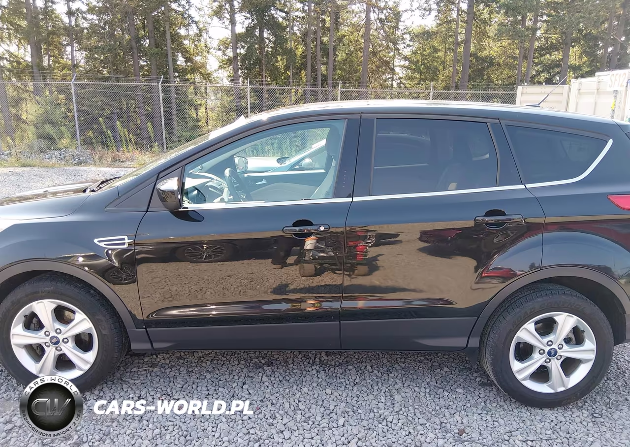 2013 Ford Escape Se VIN:1FMCU0GX1DUB61309 - 15