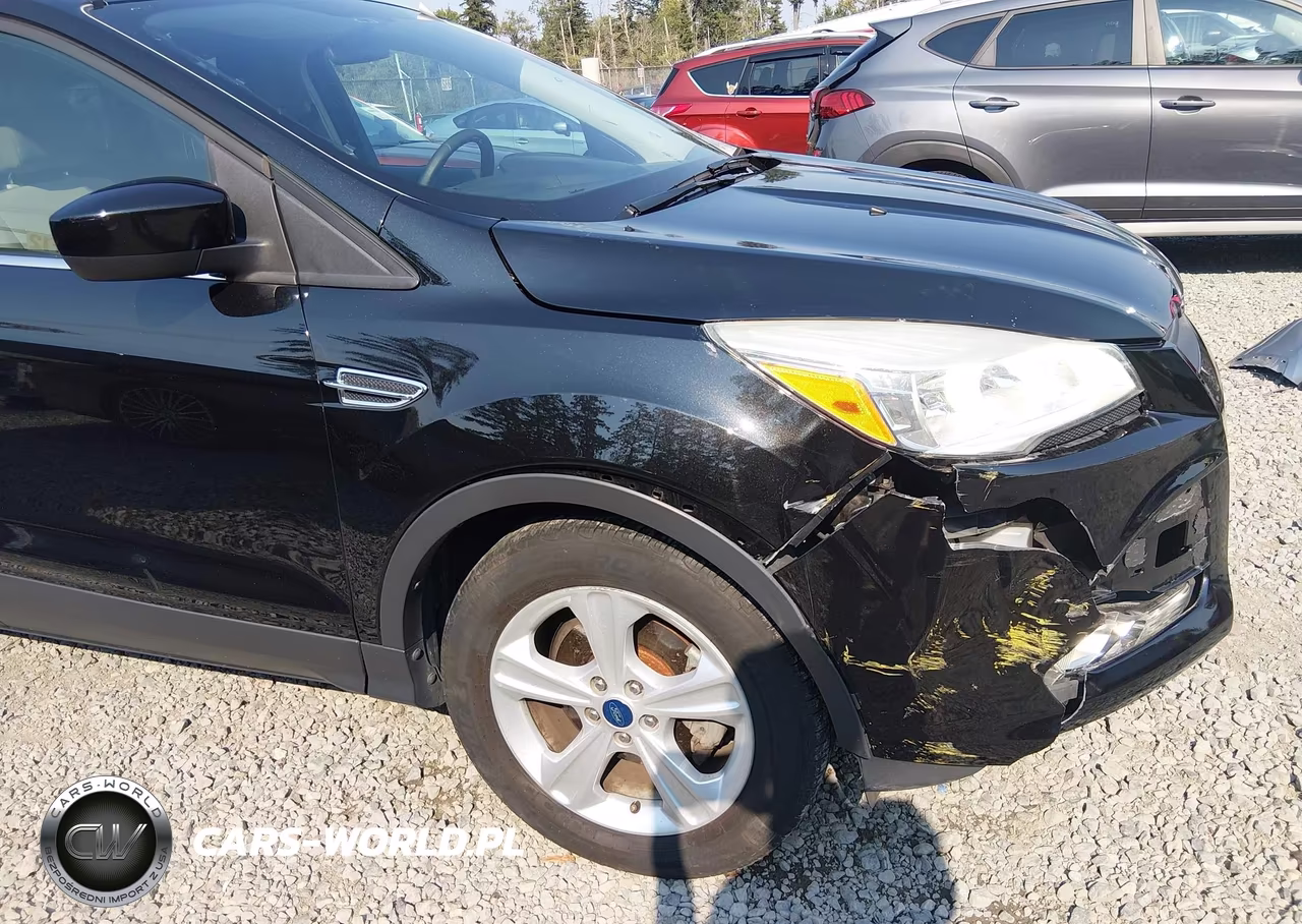 2013 Ford Escape Se VIN:1FMCU0GX1DUB61309 - 6