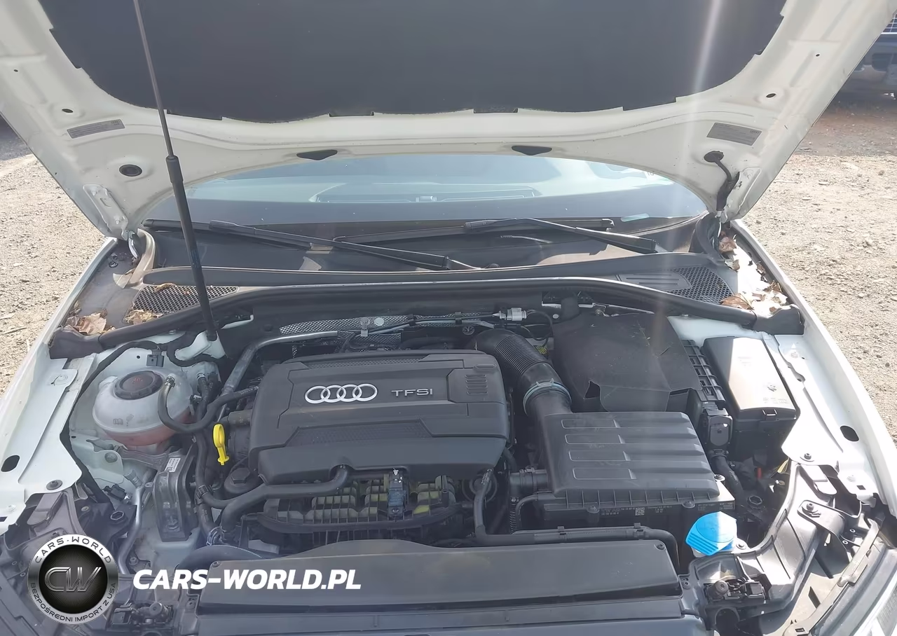 2018 Audi A3 2.0T Premium-2.0T Tech Premium VIN:WAU78LFF3J1031384 - 10