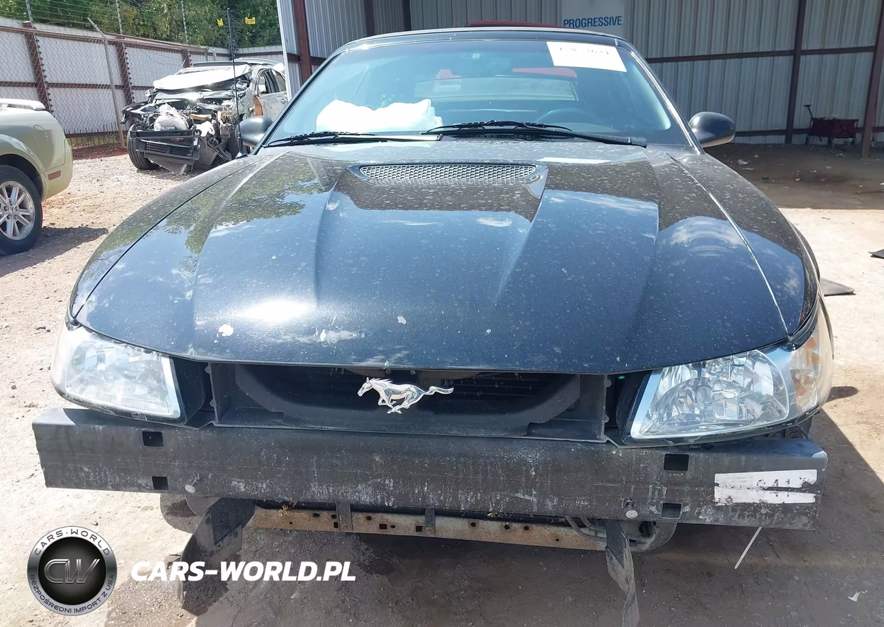 2000 Ford Mustang Gt VIN:1FAFP45X2YF110081 - 11