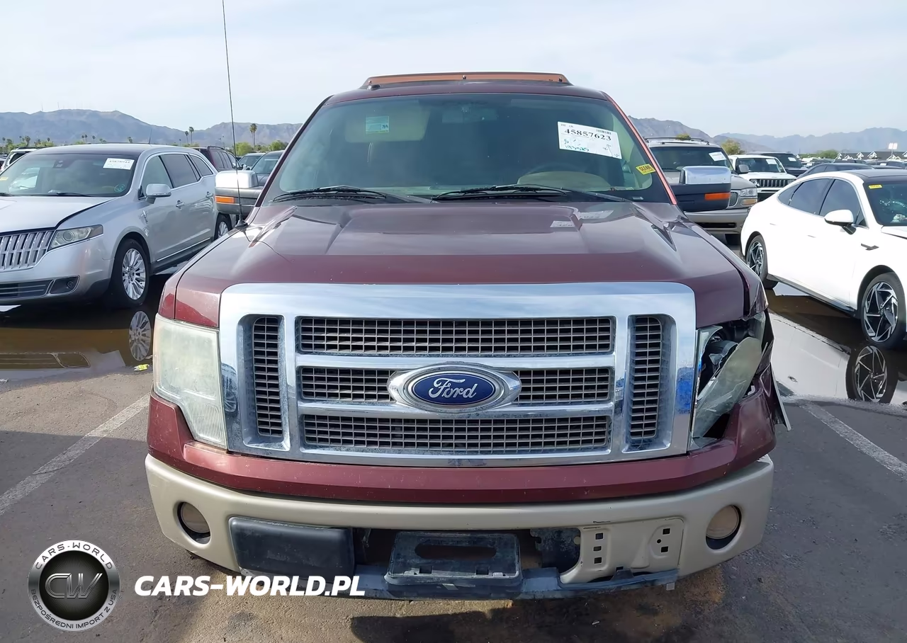 2010 Ford F-150 Fx2 Sport-Harley-Davidson-King Ranch-Lariat-Platinum-Xl-Xlt VIN:1FTFW1CV9AKC37775 - 13