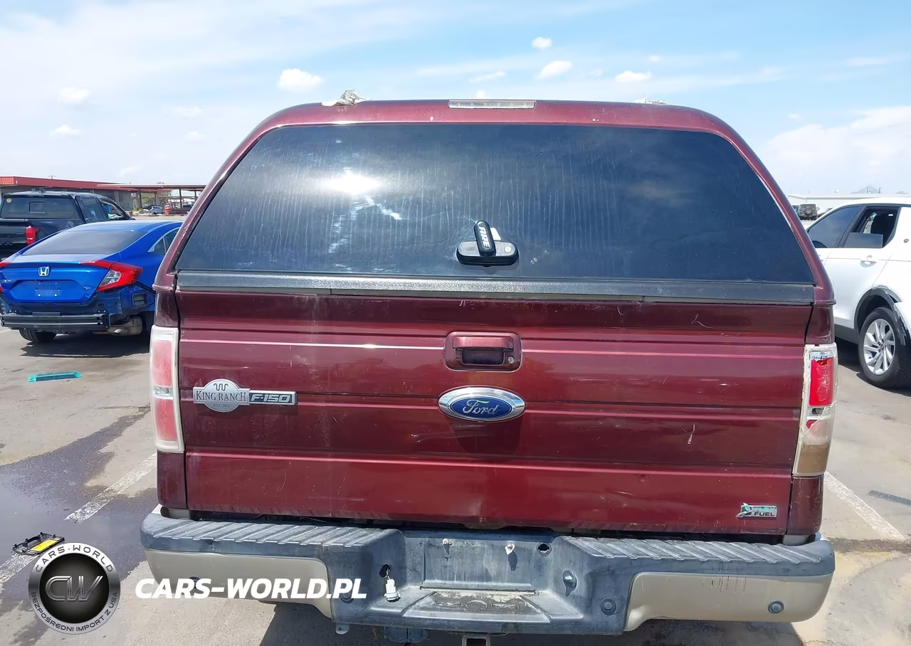 2010 Ford F-150 Fx2 Sport-Harley-Davidson-King Ranch-Lariat-Platinum-Xl-Xlt VIN:1FTFW1CV9AKC37775 - 17