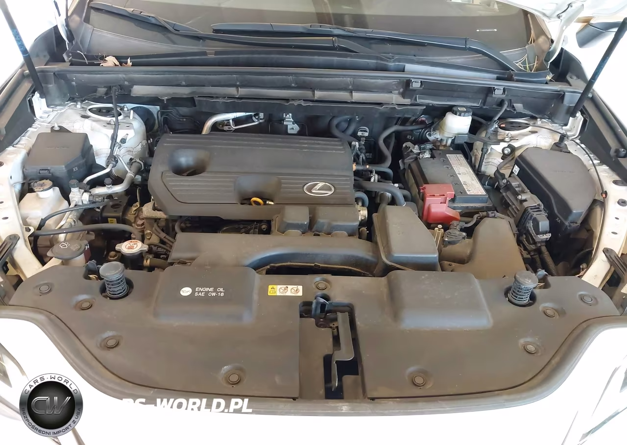 2022 Lexus Nx 250 Premium VIN:JTJGDCEZ5N2000774 - 10