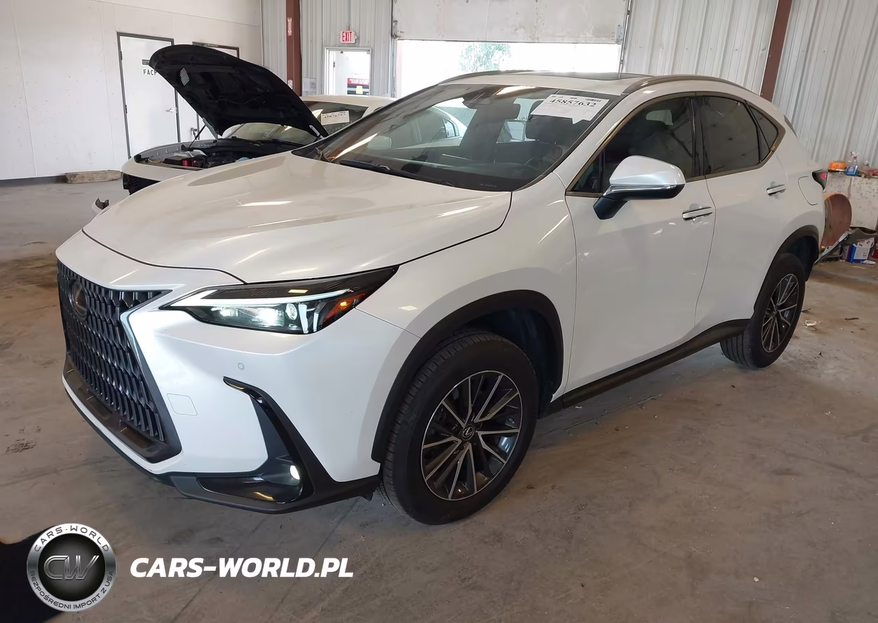 2022 Lexus Nx 250 Premium VIN:JTJGDCEZ5N2000774 - 2