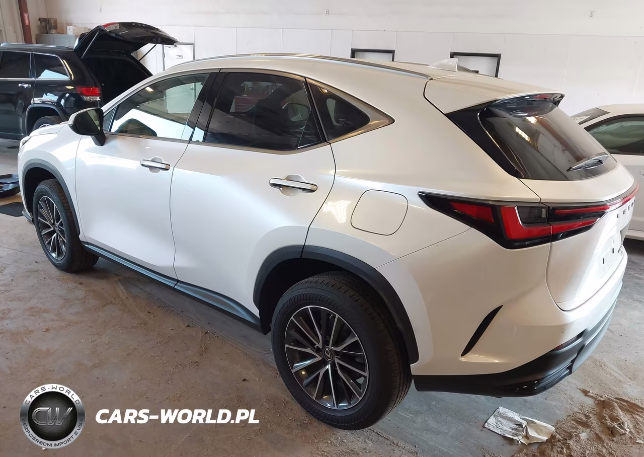 2022 Lexus Nx 250 Premium VIN:JTJGDCEZ5N2000774 - 3