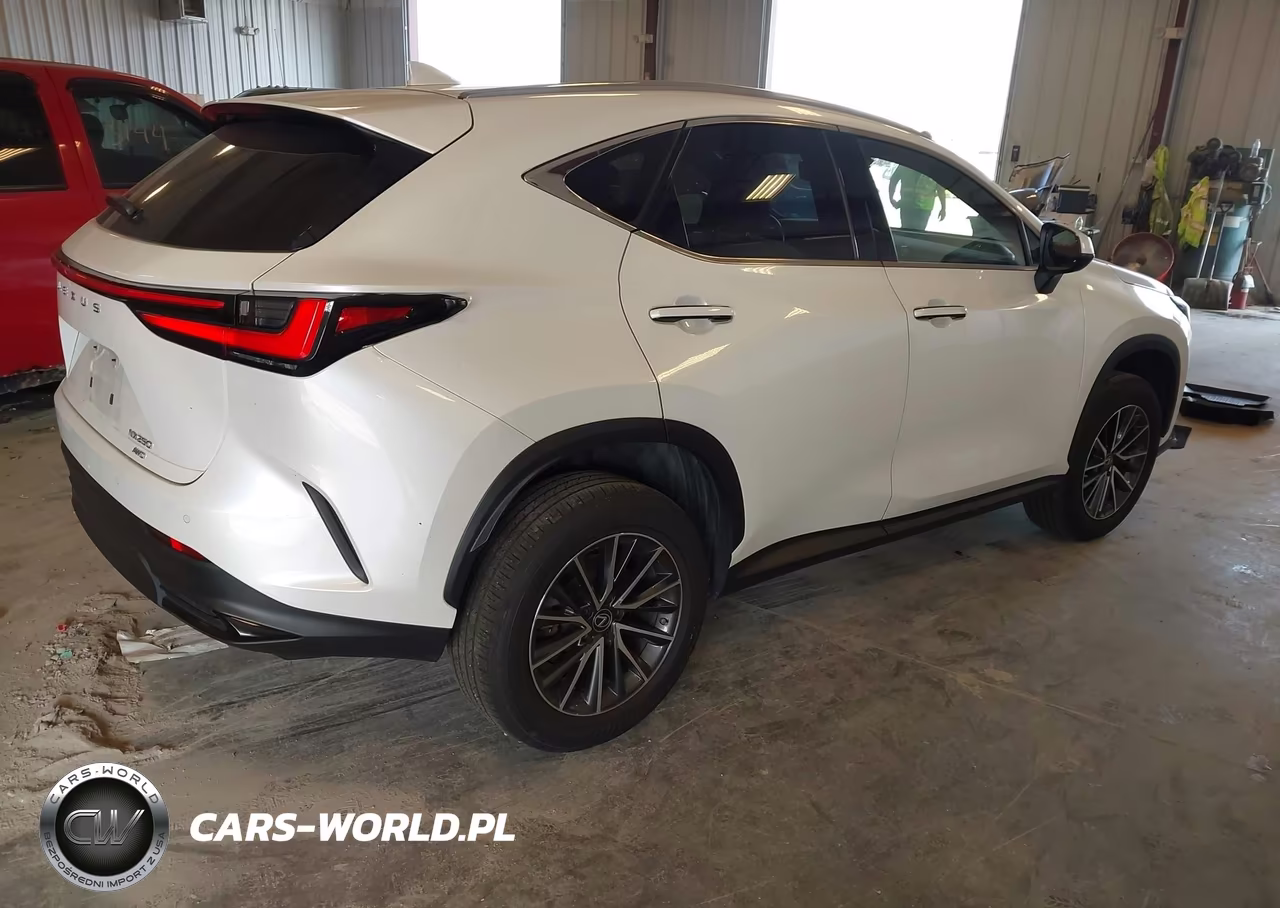 2022 Lexus Nx 250 Premium VIN:JTJGDCEZ5N2000774 - 4
