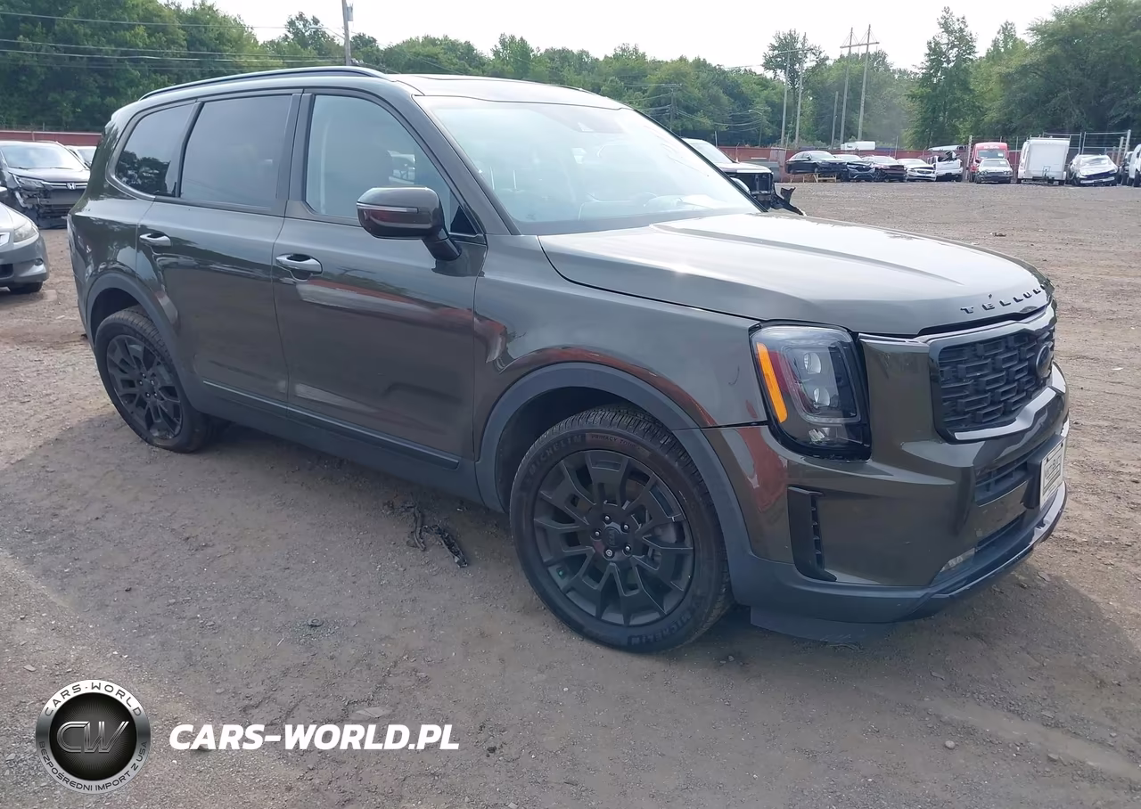 2021 Kia Telluride Sx VIN:5XYP5DHC4MG111382 - 1