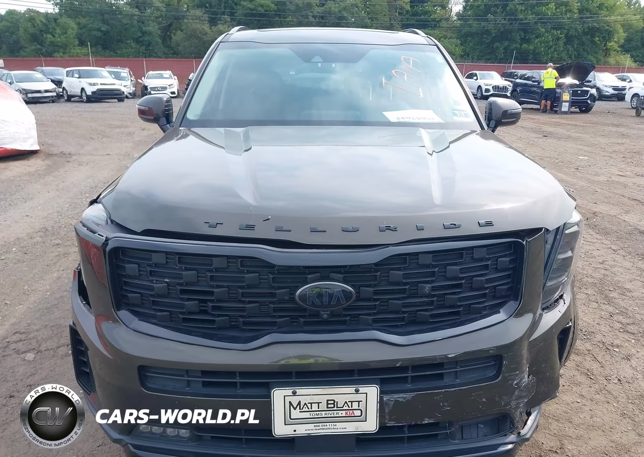 2021 Kia Telluride Sx VIN:5XYP5DHC4MG111382 - 12