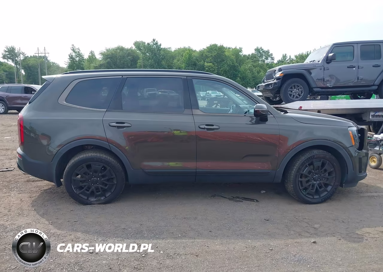 2021 Kia Telluride Sx VIN:5XYP5DHC4MG111382 - 13
