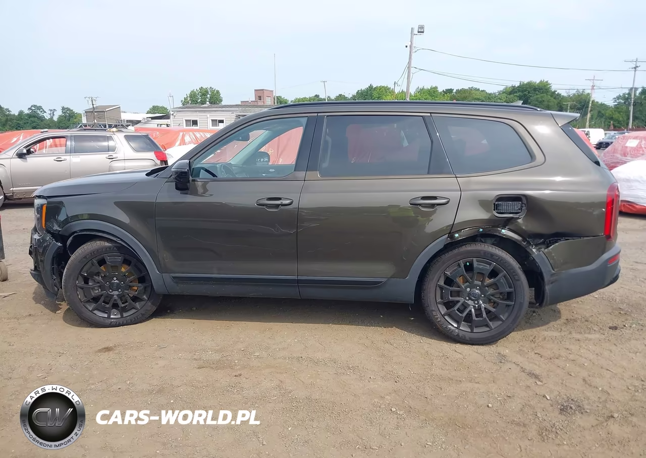 2021 Kia Telluride Sx VIN:5XYP5DHC4MG111382 - 14