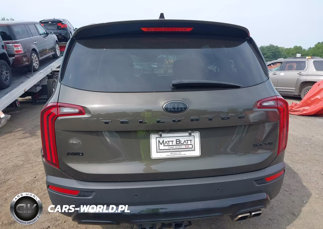 2021 Kia Telluride Sx VIN:5XYP5DHC4MG111382 - 16