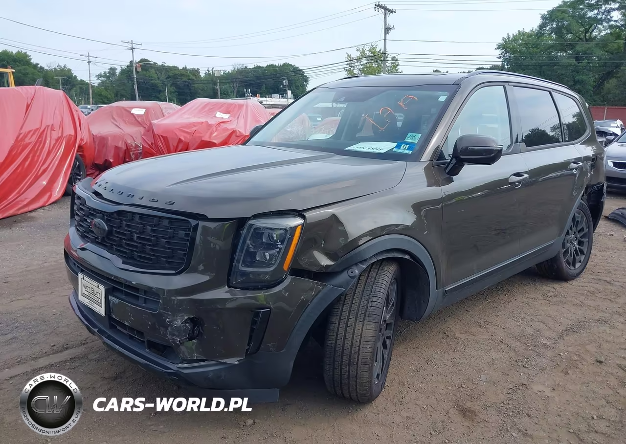 2021 Kia Telluride Sx VIN:5XYP5DHC4MG111382 - 17